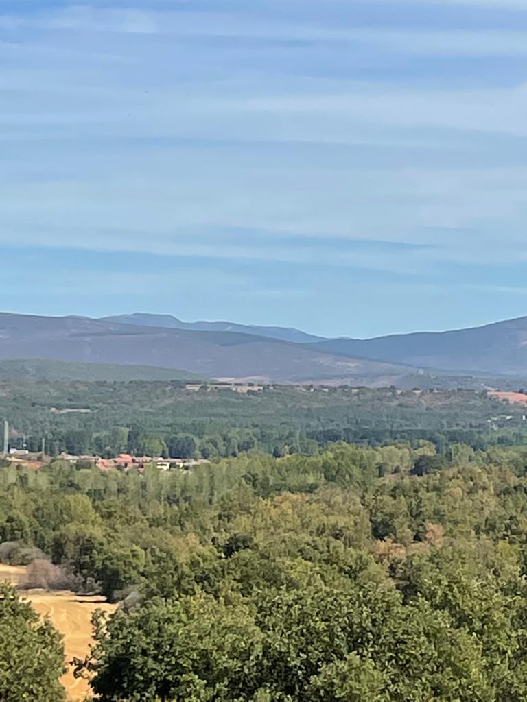 Paseando por la Revilla