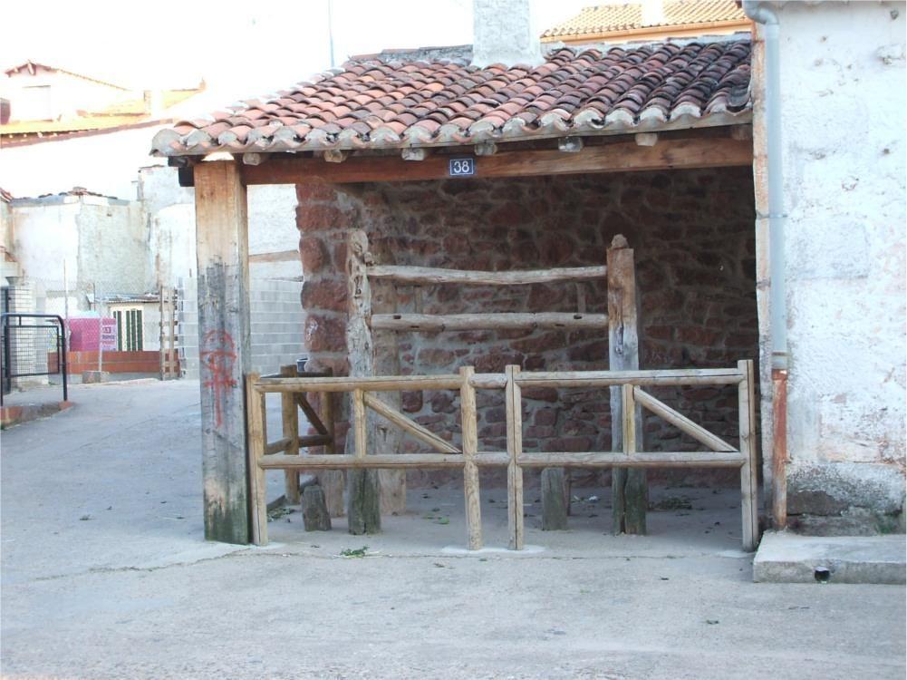 Potro